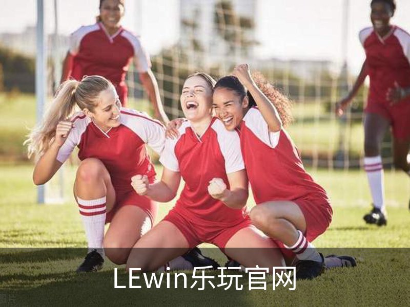 LEwin乐玩官网概况